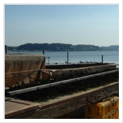 ヘルシーおやつ甘いわかめ